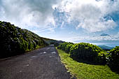 Azzorre, Isola di Faial - Salita alla caldera. Vista dei pascoli e campi che coprono le pendici fino all'isola di Pico 